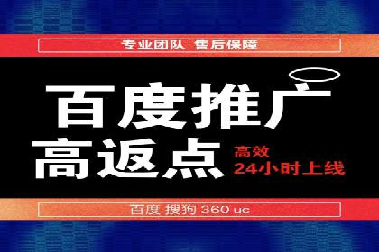 百度竞价SEM成功案例：揭秘广告投放秘诀